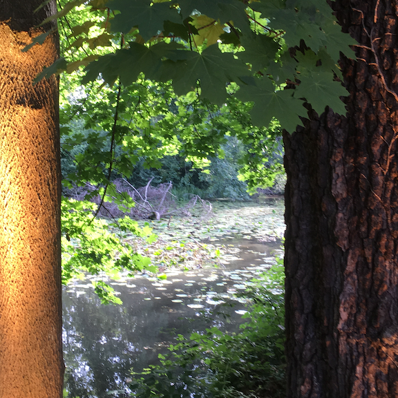 Steinbaechlein Mulhouse